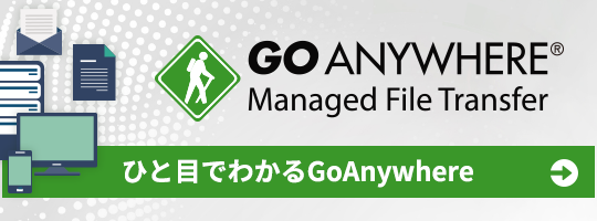 ひと目でわかるGoAnywhere バナー