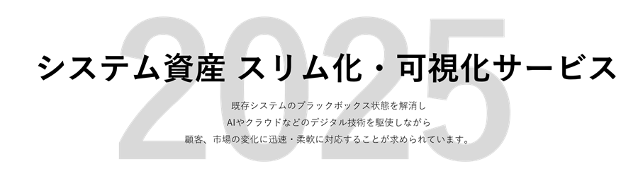 システム資産 スリム化・可視化サービス